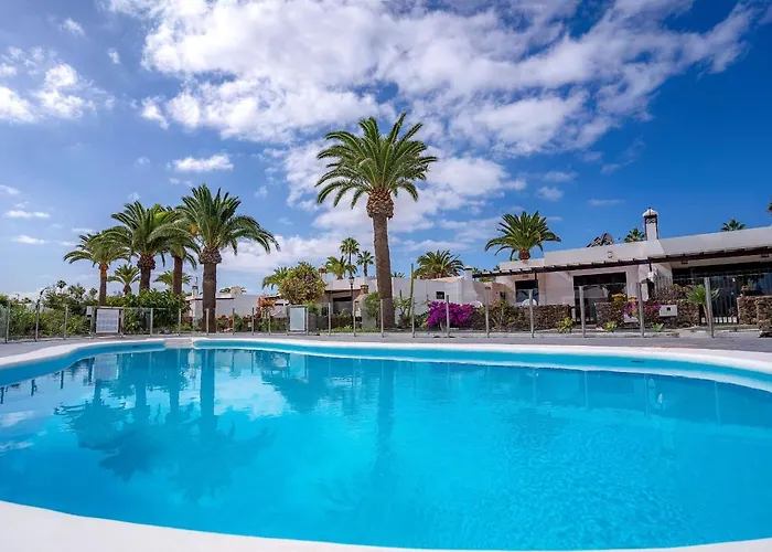 فيلة Vv Tamia By Hh